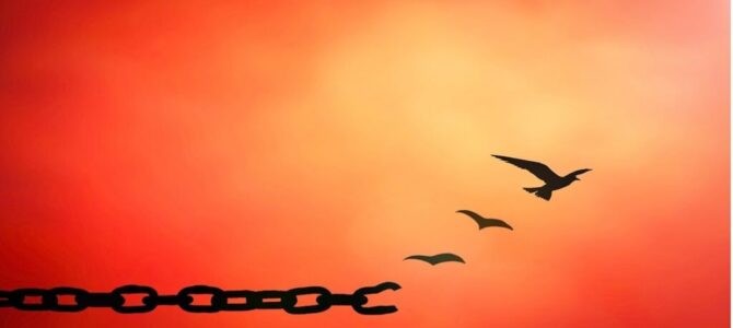 Image depicting birds freeing from links of chains that break up when we apologize or forgive illustrating how these two actions help one be free and shed emotional baggage